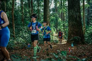 BIB: 
                            <button type="button" onclick="openModal(26131351)" class="btn btn-primary btn-sm float-right btn-popup" data-toggle="modal" data-target=".modal-high-quality">
                        <i class="fas fa-shopping-cart"></i> Add to Cart
                    </button>
                                            <button type="button" onclick="isThisMe(26131351, true)" class="btn btn-success btn-sm float-right btn-popup btn-isme hidden" data-toggle="tooltip" data-placement="bottom" title="นี่คือรูปของคุณใช่ไหม คลิกที่นี่เพื่อเอาเข้าอัลบั้ม">
                        <i class="fas fa-plus"></i> Add to album
                    </button>
                    <button type="button" onclick="isThisMe(26131351, false)" class="btn btn-warning btn-sm float-right btn-popup btn-isnotme hidden">
                        <i class="fas fa-ban"></i> Remove from album
                    </button>